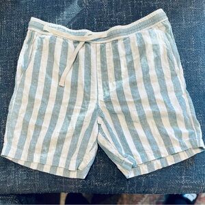 Goodfellow & Co Blue and White Striped Shorts (NEVER WORN)